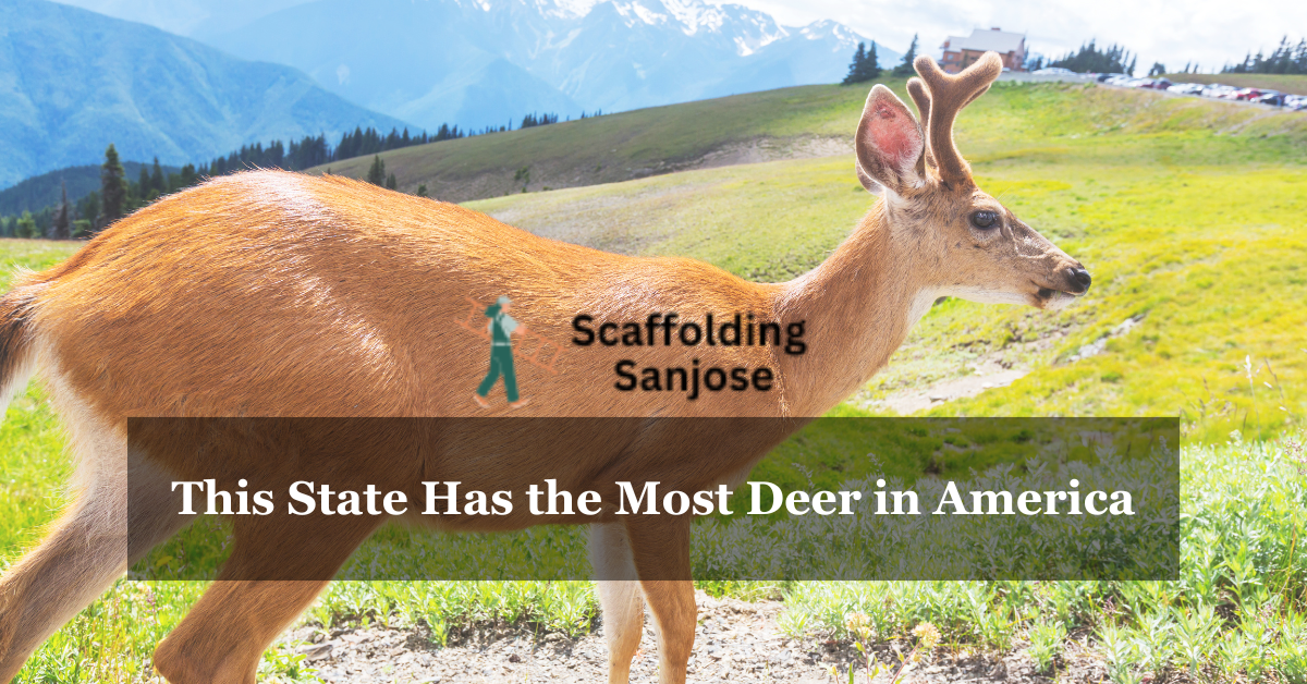 This State Has the Most Deer in America
