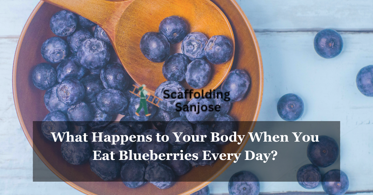 What Happens to Your Body When You Eat Blueberries Every Day?